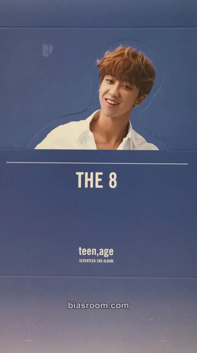 The8 SEVENTEEN TEEN,AGE  K-pop Photocard