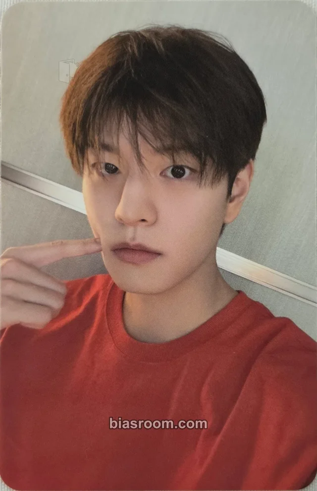 Seungmin Stray Kids THIS & THAT K-pop 小卡