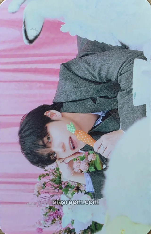 Photocard K-pop Wonpil DAY6  Day6 5th Fanmeeting - Every Day6 Every My Day