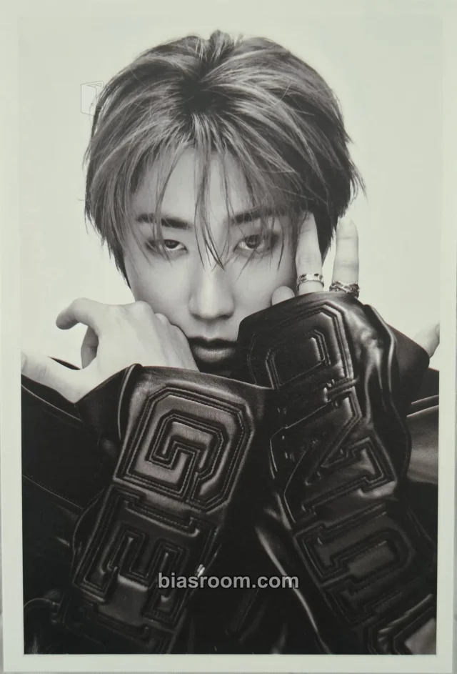 HAN Stray Kids D’FESTA THE ORIGIN K-pop 小卡