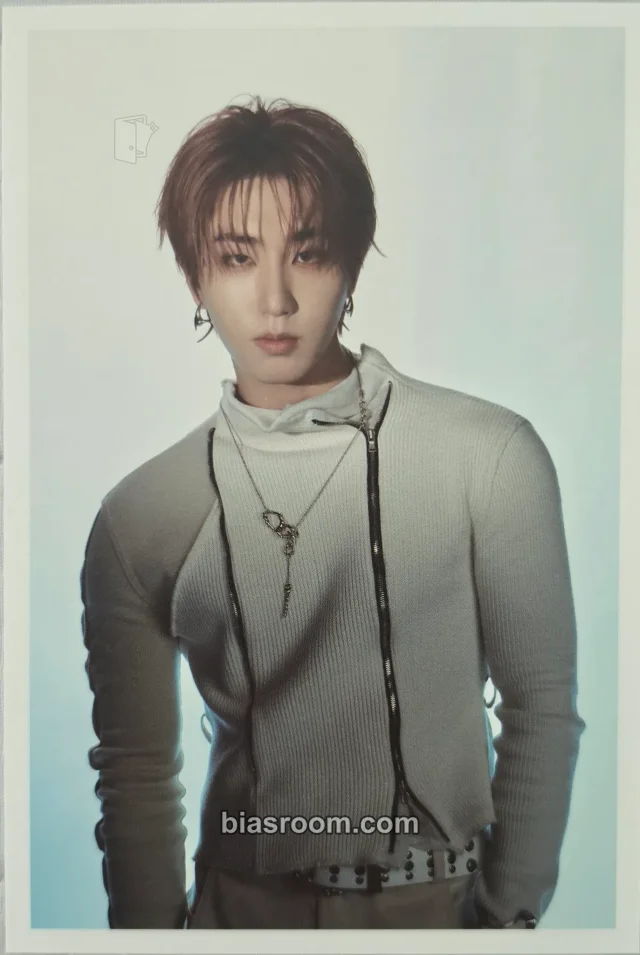 HAN Stray Kids D’FESTA THE ORIGIN K-pop 小卡