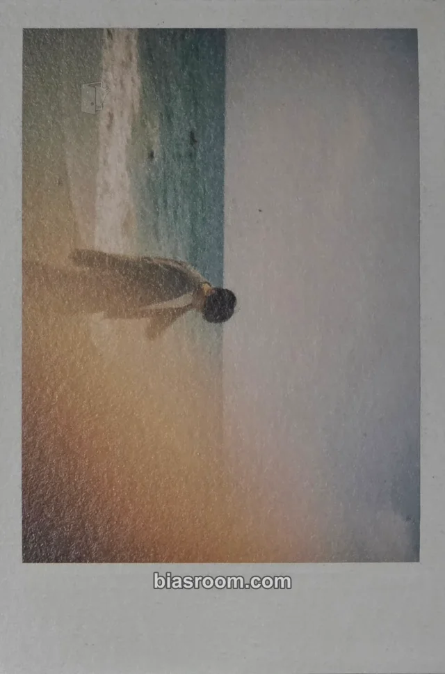 Ryeowook SUPER JUNIOR A Wild Rose (Ryeowook Solo) K-pop photocard
