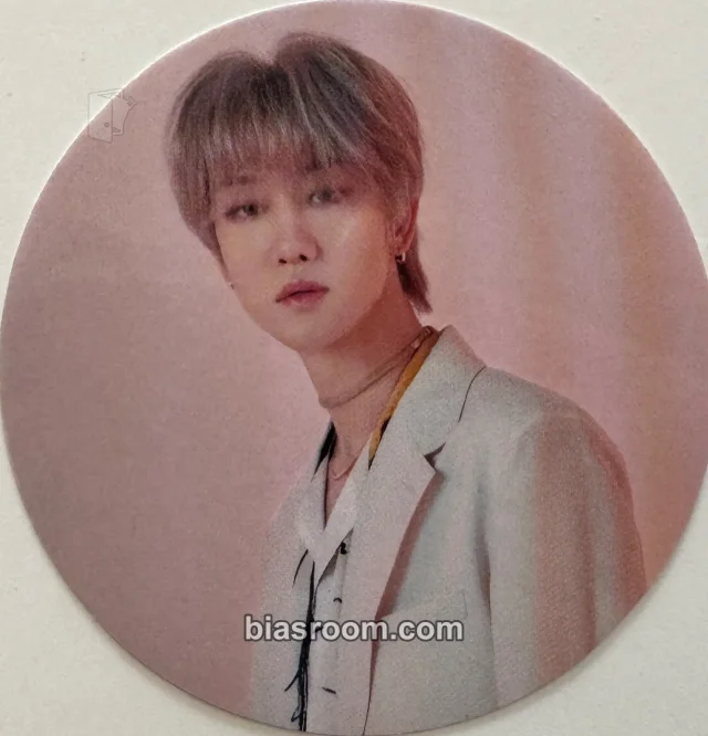 The8 SEVENTEEN An Ode K-pop Photocard