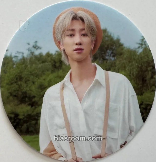 The8 SEVENTEEN An Ode K-pop Photocard