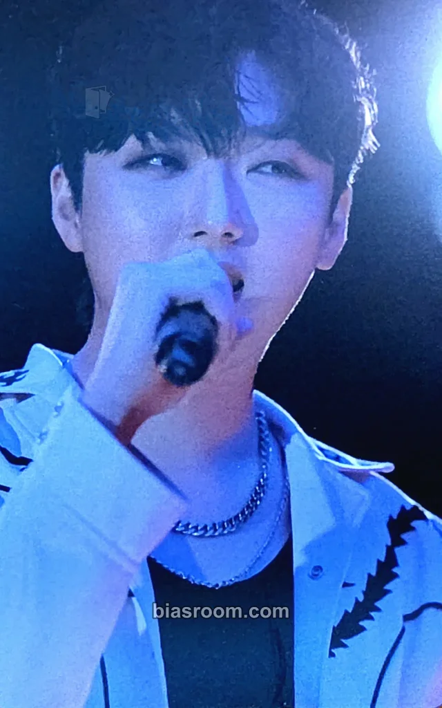 Hyungho Forestella ID : PITTA K-pop photocard