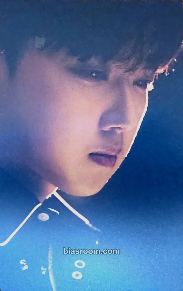 Hyungho Forestella ID : PITTA K-pop photocard