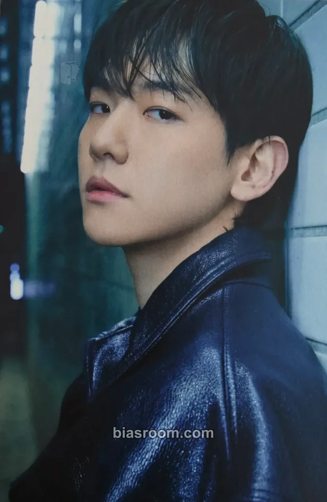 Baekhyun EXO Bambi K-pop photocard