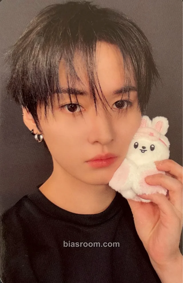 Lee Know Stray Kids Sanrio Characters × SKZOO K-pop Photocard