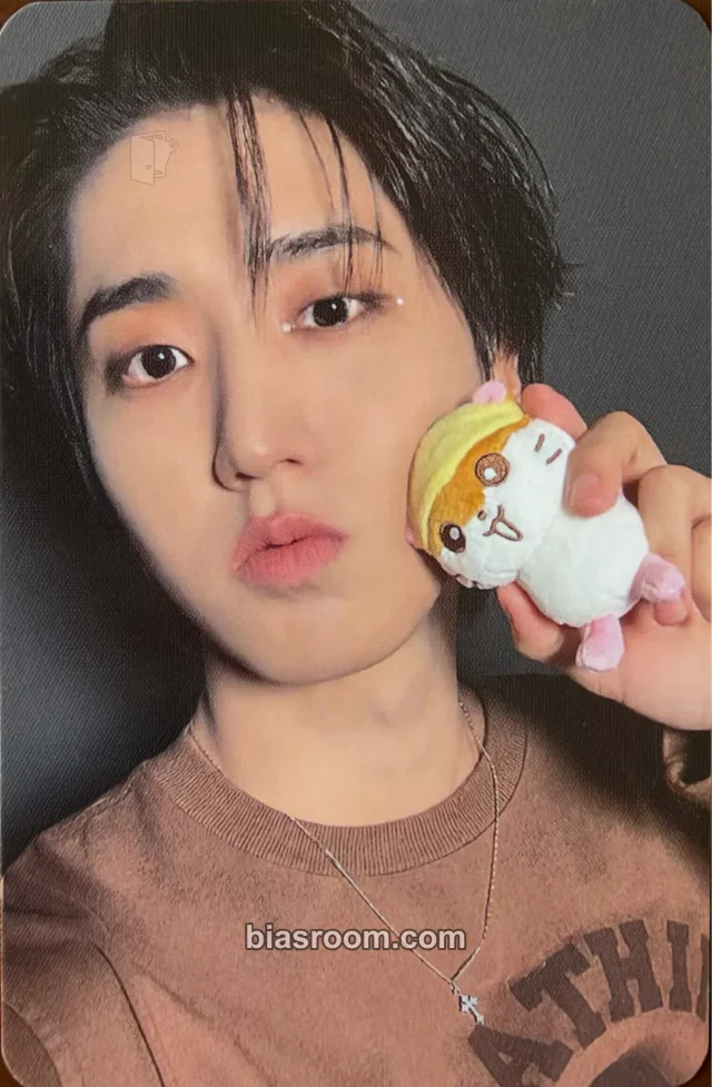 Photocard K-pop HAN Stray Kids Sanrio Characters × SKZOO