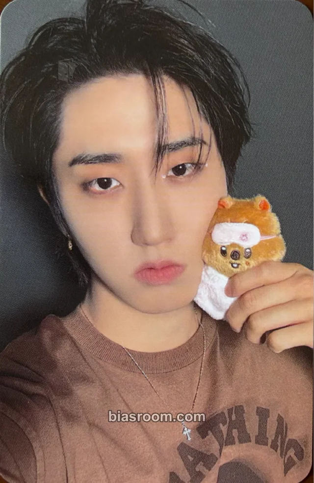 Photocard K-pop HAN Stray Kids Sanrio Characters × SKZOO