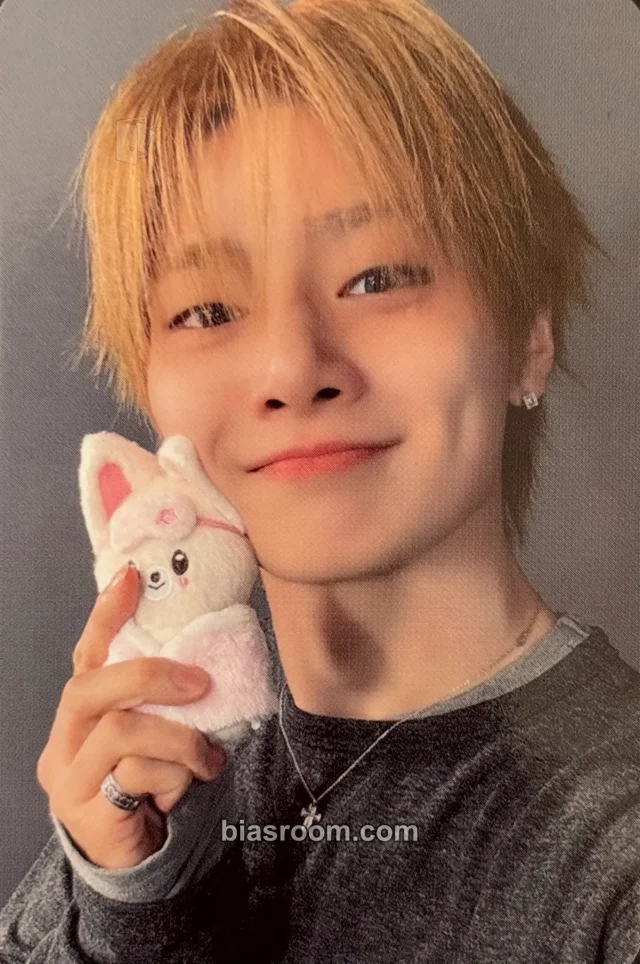 Photocard K-pop di I.N Stray Kids Sanrio Characters × SKZOO