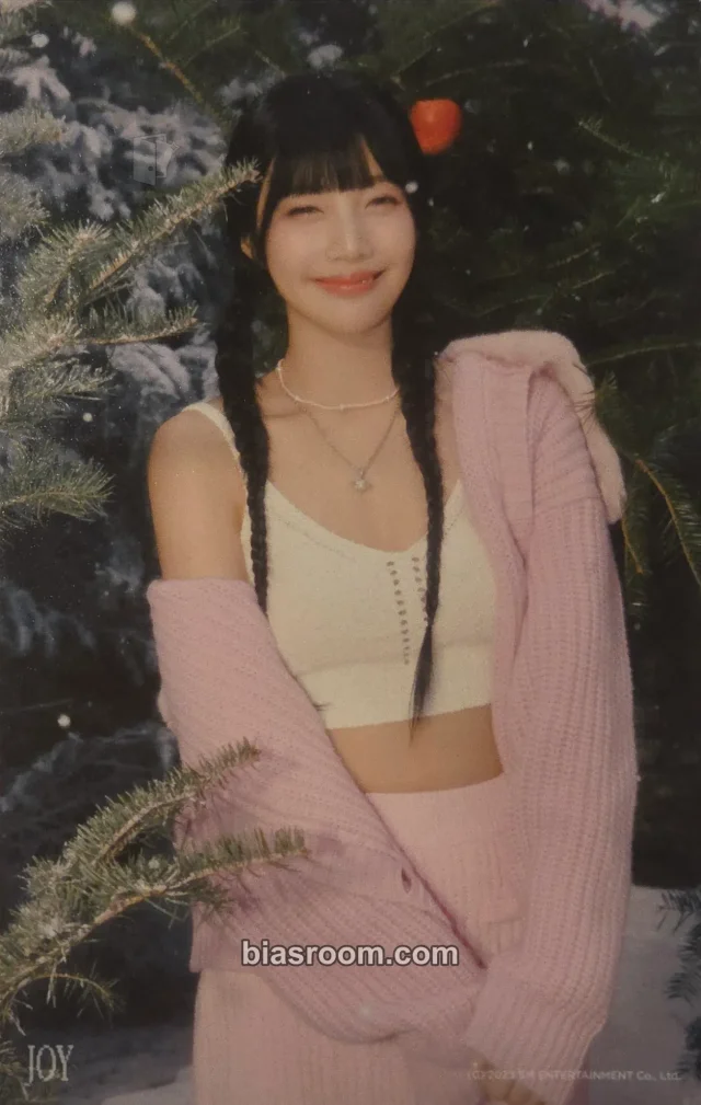 Joy Red Velvet SMTown Live 2023/2024: SMCU Palace K-pop photocard