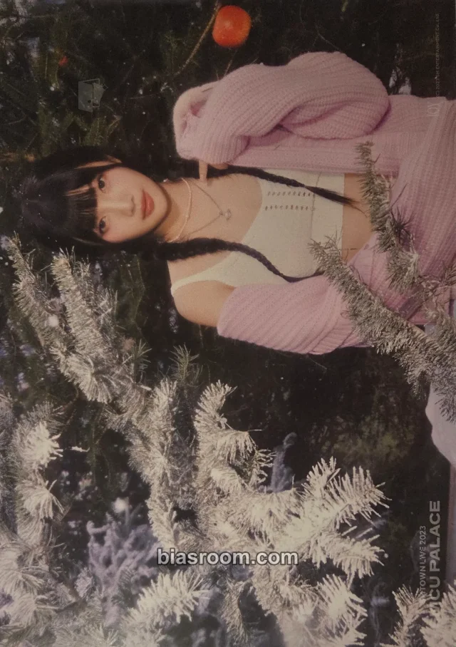 Joy Red Velvet SMTown Live 2023/2024: SMCU Palace K-pop photocard