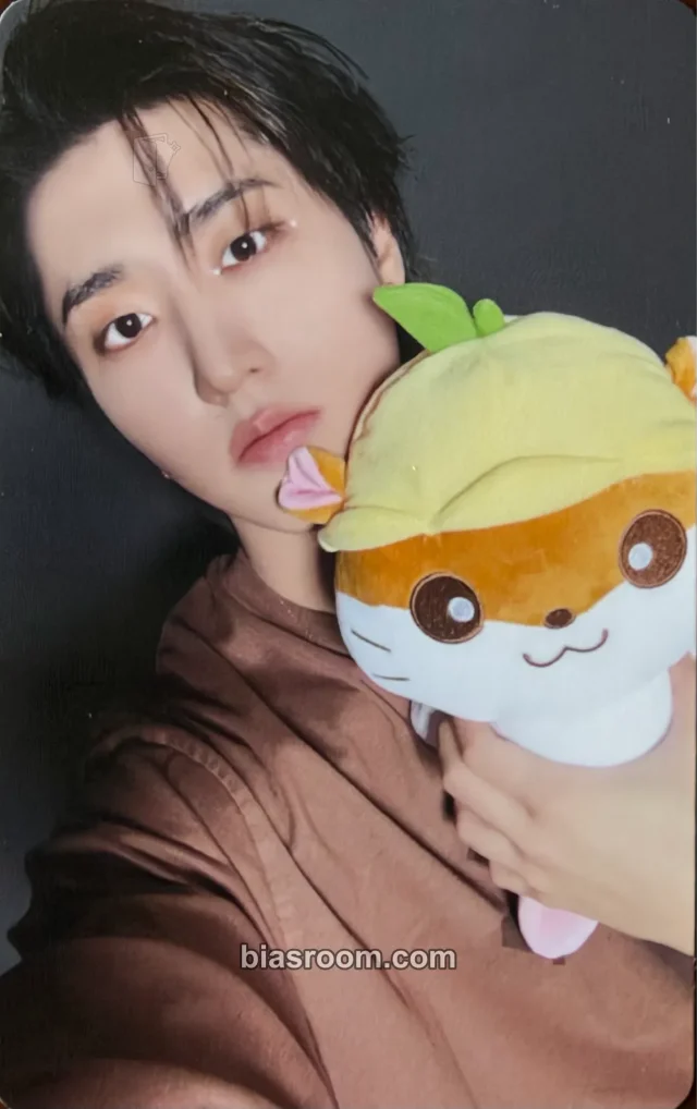HAN Stray Kids Sanrio Characters × SKZOO K-pop photocard