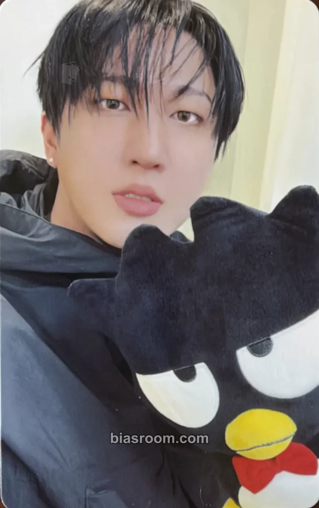 Changbin Stray Kids Sanrio Characters × SKZOO K-pop Photocard