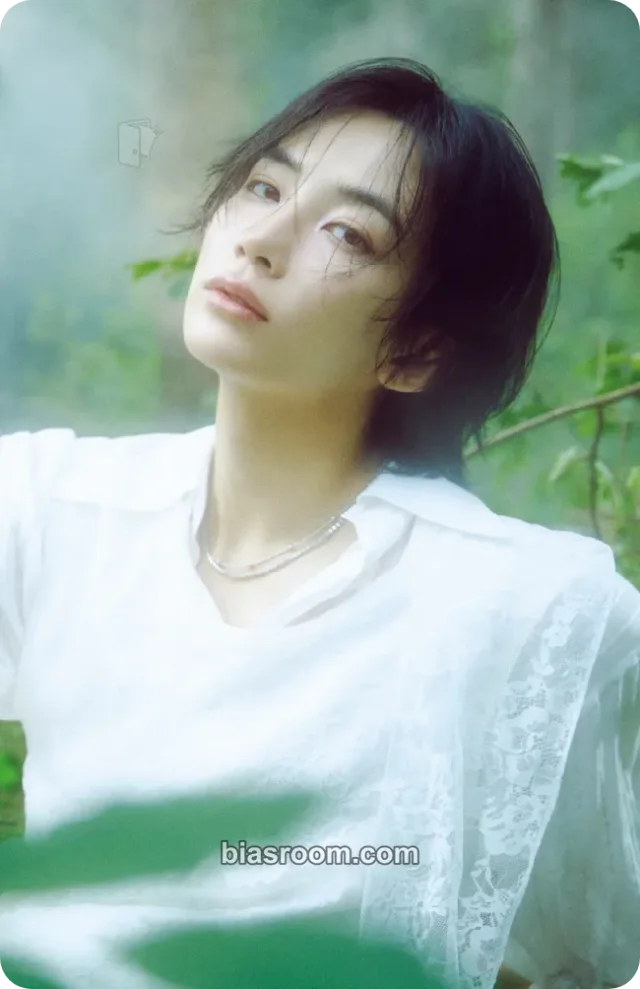 Jeonghan SEVENTEEN Dreamscape K-pop photocard